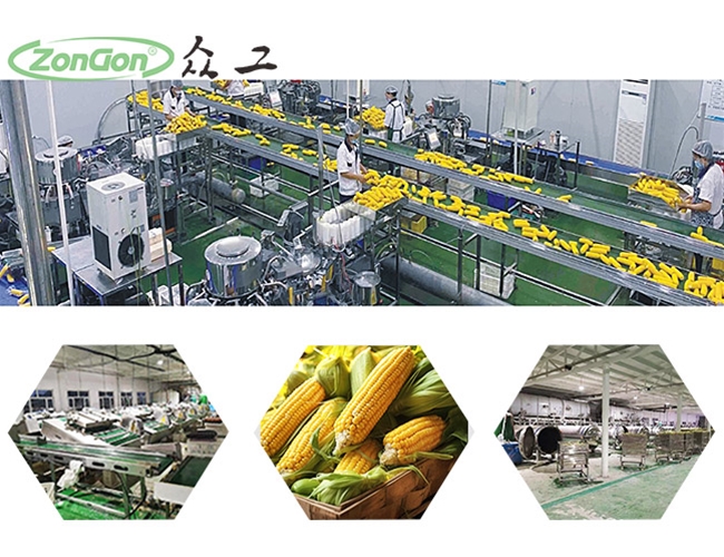 鮮食玉米生產(chǎn)線